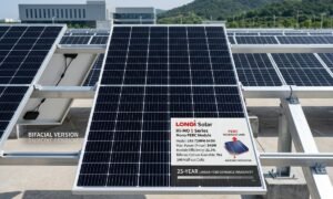 LONGi 545W Mono PERC Solar Panel | High-Efficiency Bifacial Module